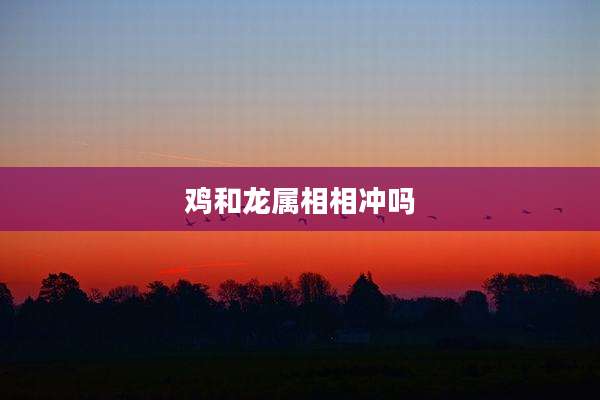 鸡和龙属相相冲吗