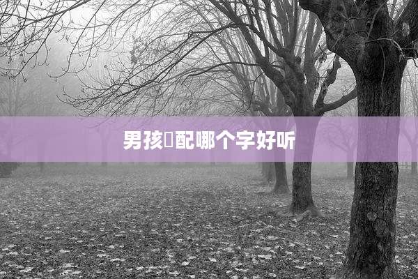 男孩璟配哪个字好听