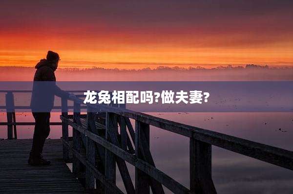 龙兔相配吗?做夫妻?