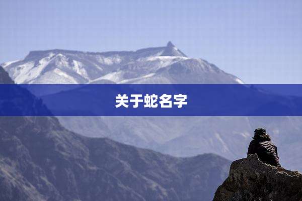 关于蛇名字