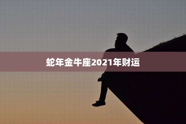 蛇年金牛座2021年财运