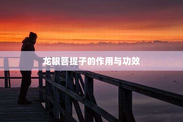 龙眼菩提子的作用与功效