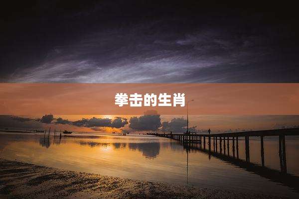 拳击的生肖