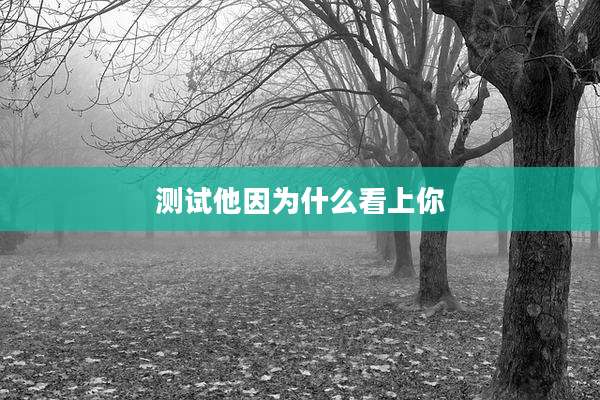 测试他因为什么看上你