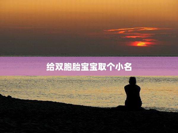 给双胞胎宝宝取个小名