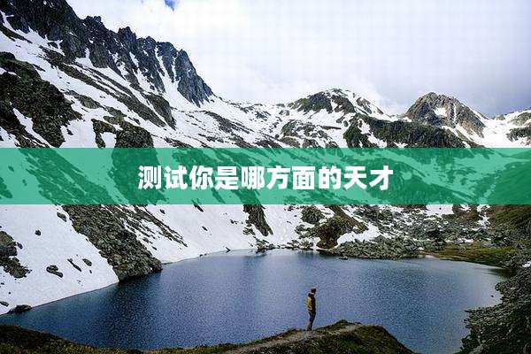 测试你是哪方面的天才