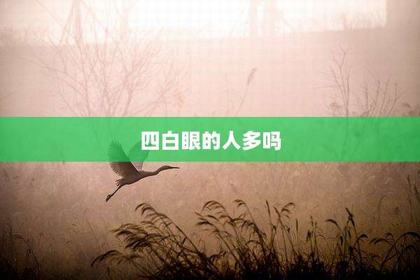 四白眼的人多吗