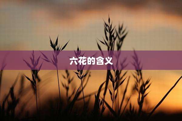 六花的含义