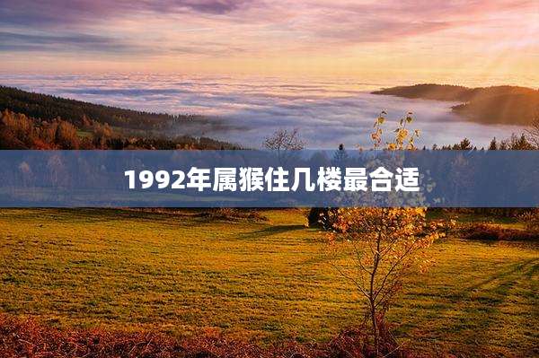 1992年属猴住几楼最合适