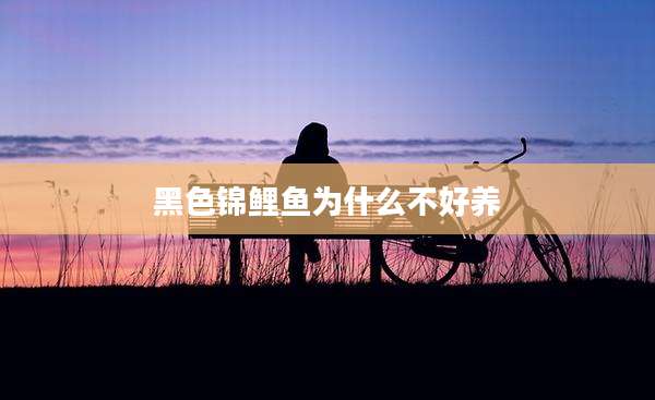 黑色锦鲤鱼为什么不好养