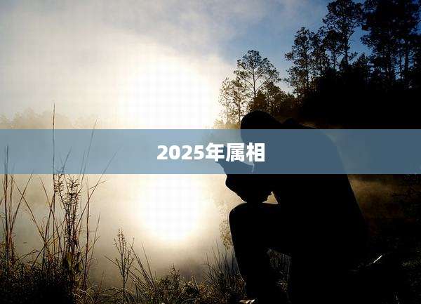 2025年属相