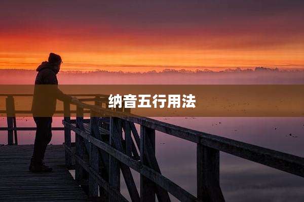 纳音五行用法