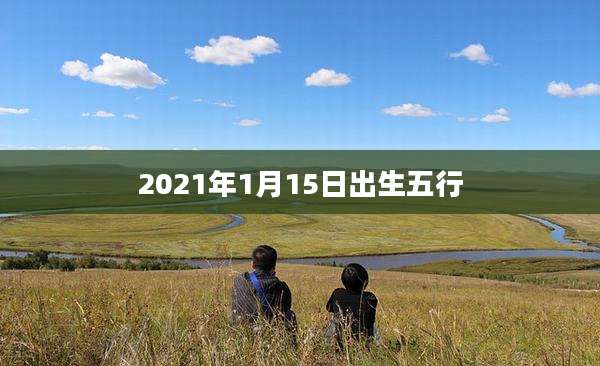 2021年1月15日出生五行