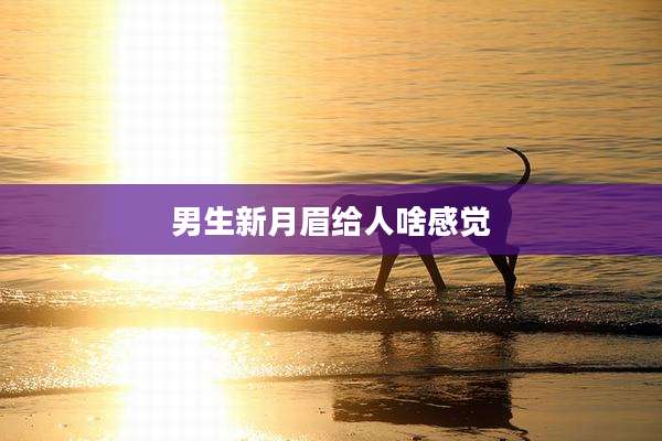 男生新月眉给人啥感觉