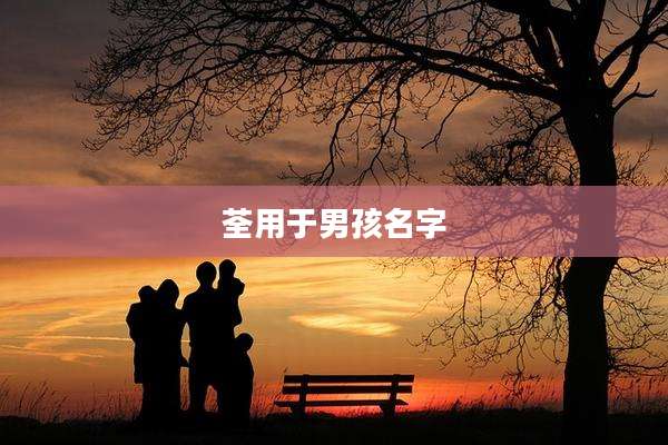 荃用于男孩名字