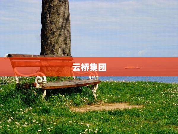 云桥集团