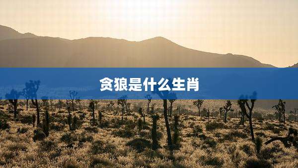 贪狼是什么生肖