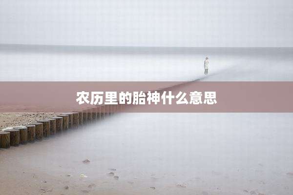 农历里的胎神什么意思