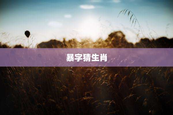 暴字猜生肖