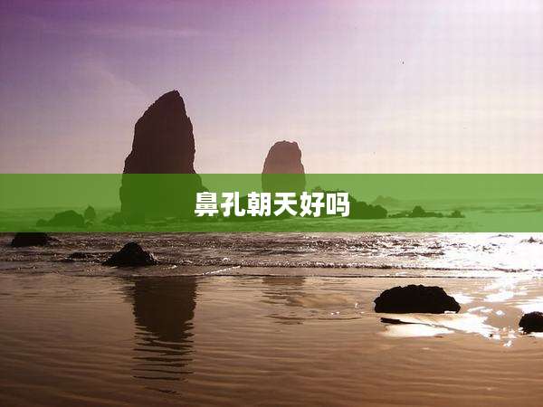 鼻孔朝天好吗