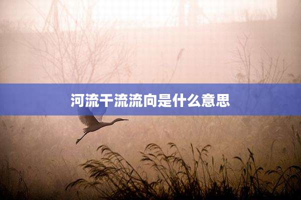 河流干流流向是什么意思