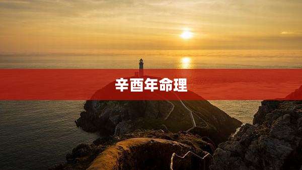 辛酉年命理