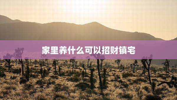 家里养什么可以招财镇宅