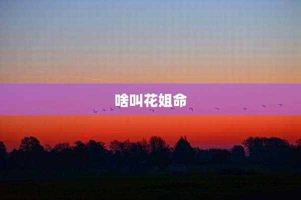啥叫花姐命