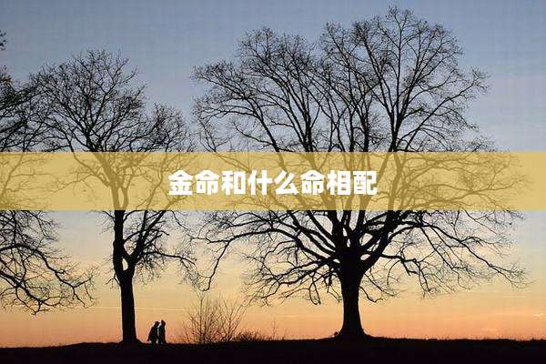 金命和什么命相配
