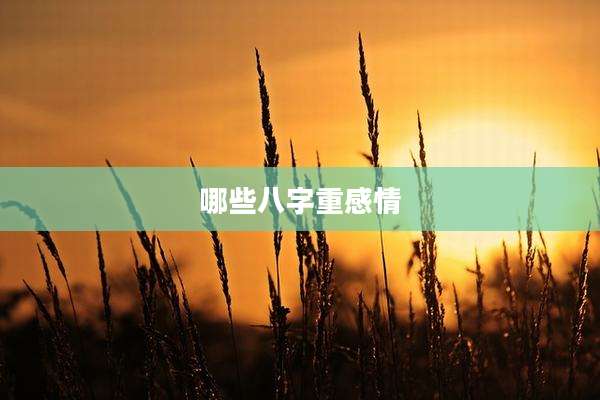 哪些八字重感情