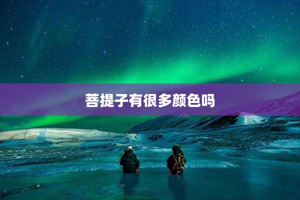 菩提子有很多颜色吗