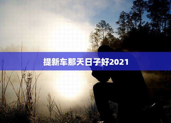 提新车那天日子好2021