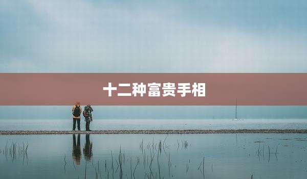 十二种富贵手相