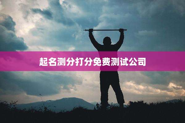 起名测分打分免费测试公司