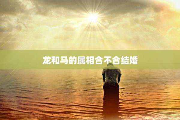 龙和马的属相合不合结婚