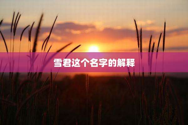 雪君这个名字的解释