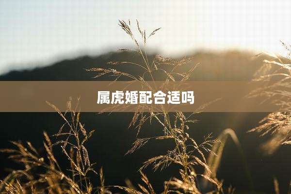属虎婚配合适吗