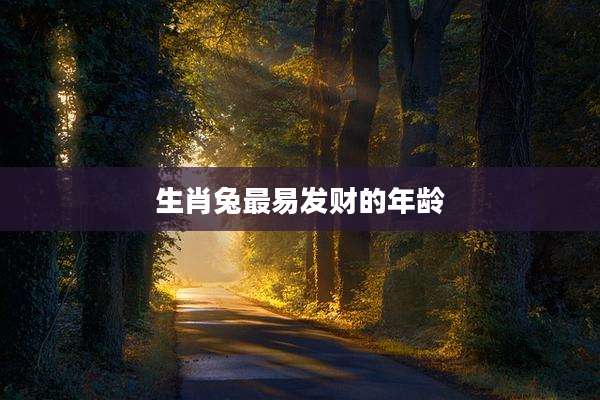 生肖兔最易发财的年龄